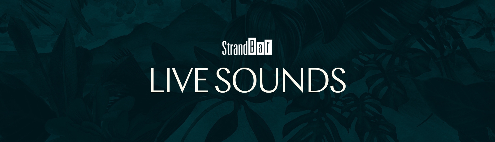 live music and dj entertainment